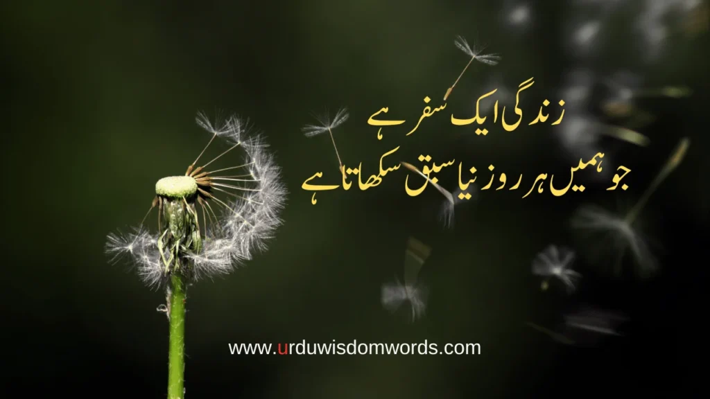 Life Quotes in Urdu