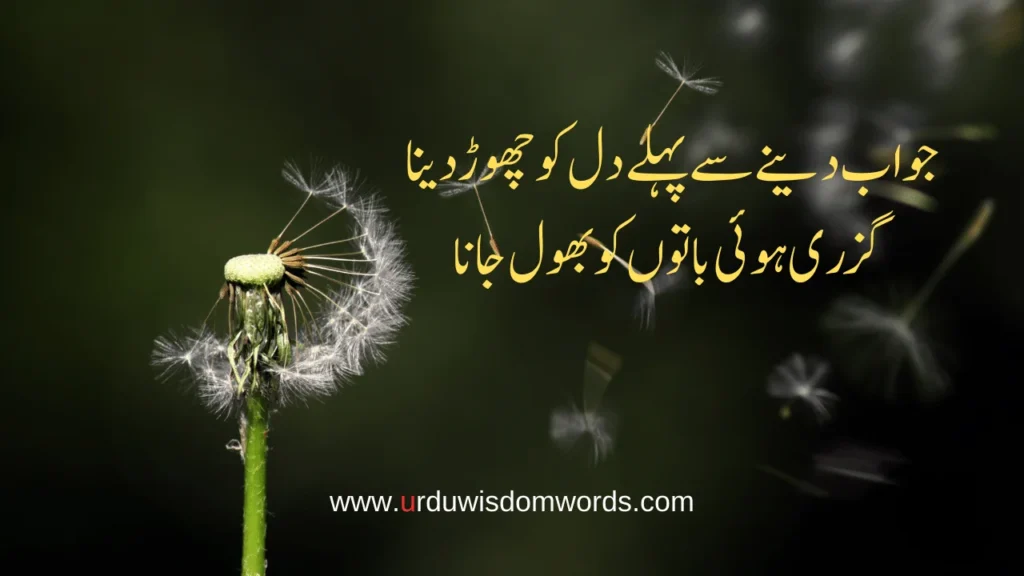 Reality of Life Quotes in Urdu