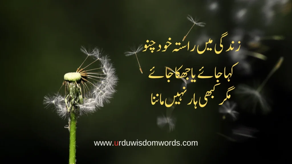 Reality of Life Quotes in Urdu