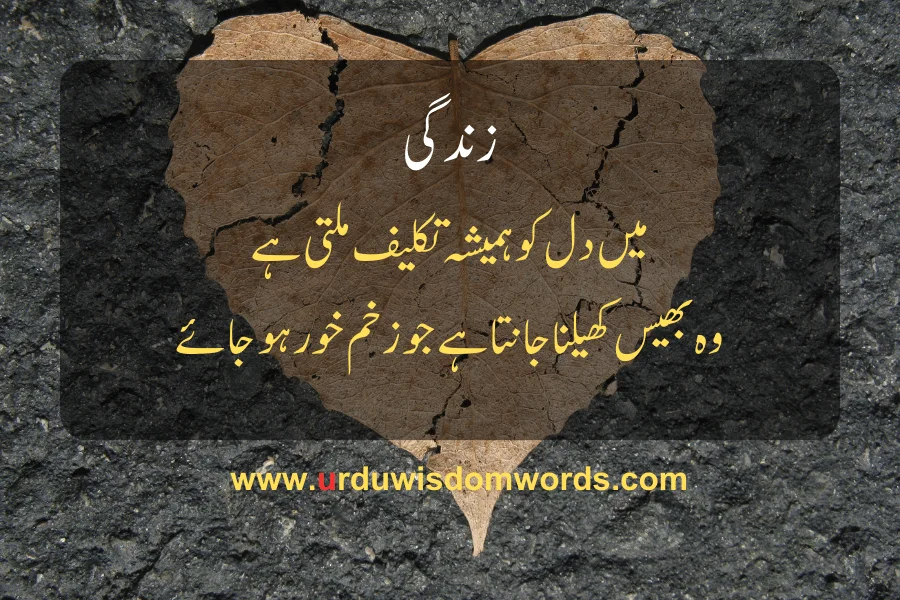 sad quotes about life in urdu