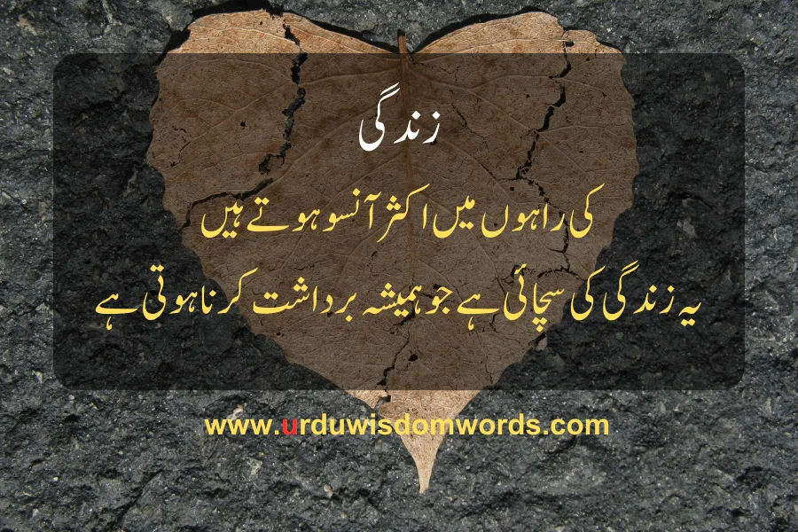 Sad Life Quotes in Urdu