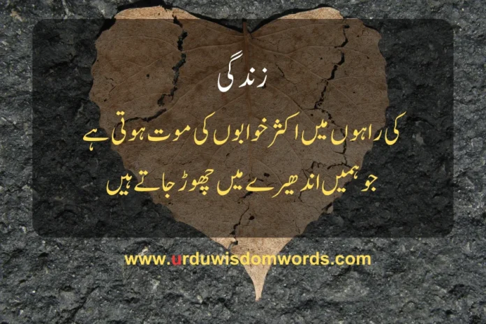 sad quotes about life in urdu