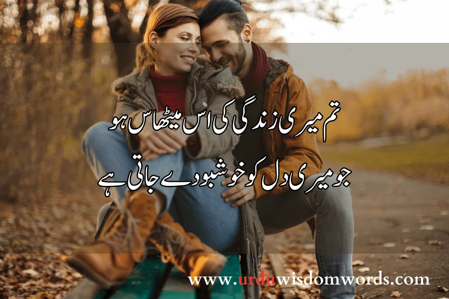 Romantic Quotes in Urdu for Boyfriend