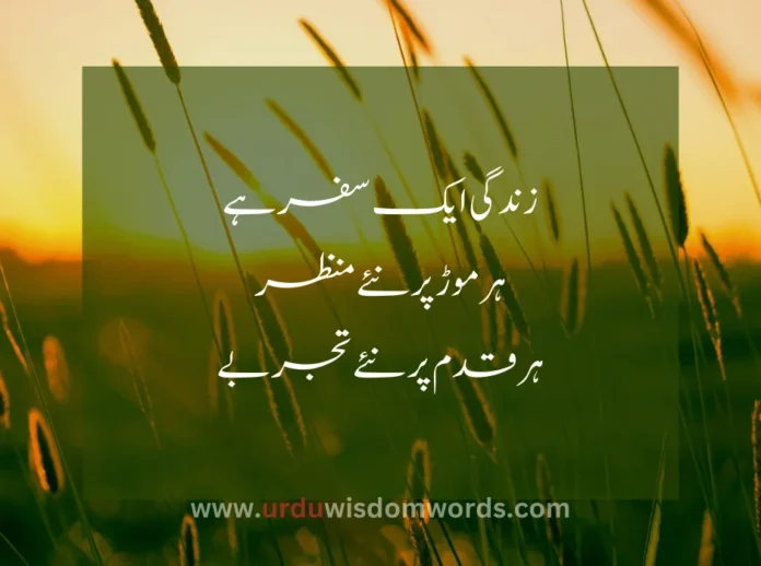 Beautiful Quotes in Urdu