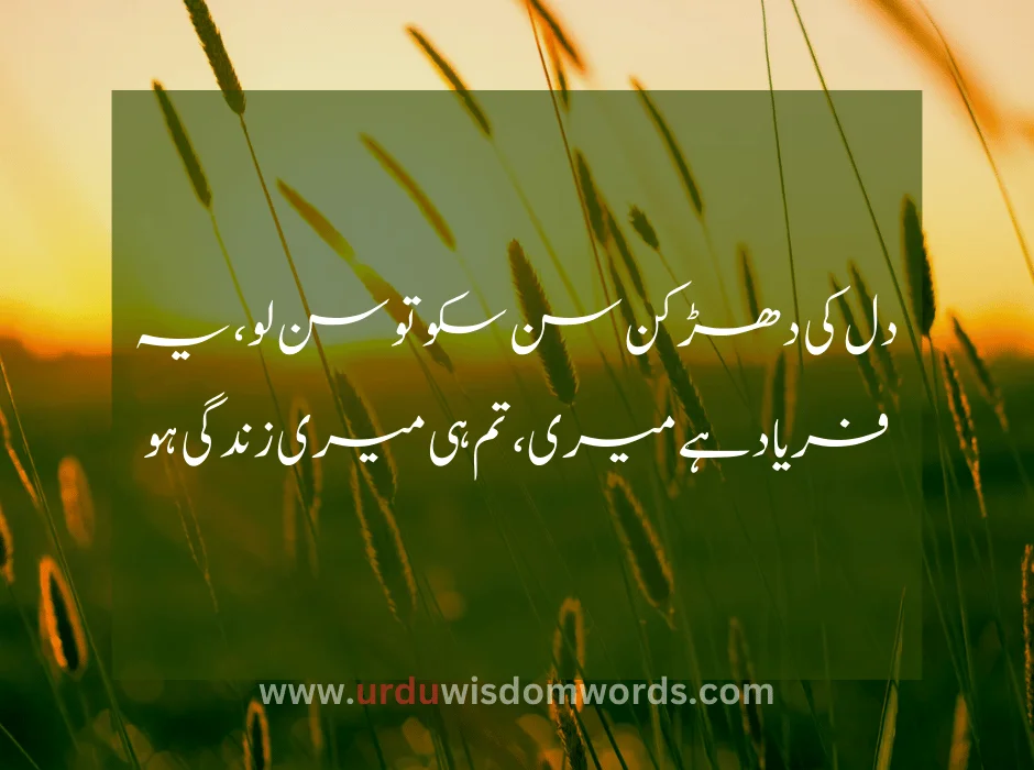 beautiful quotes in urdu