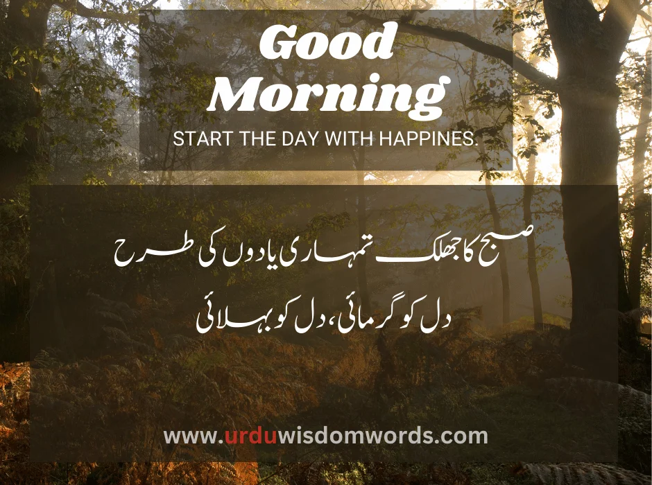 Beautiful Good Morning Quotes In Urdu