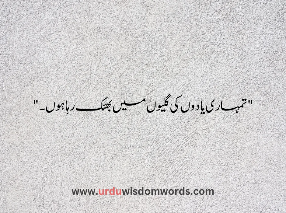 One Line Urdu Quotes